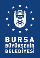 Bursa Orhangazi Köprülü Kavşağı
